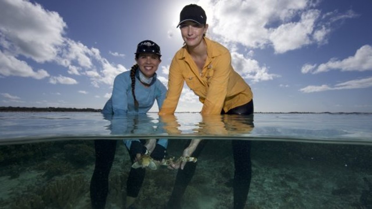 “Şehirdeki Yılanlar” National Geographic WILD ekranlarında!