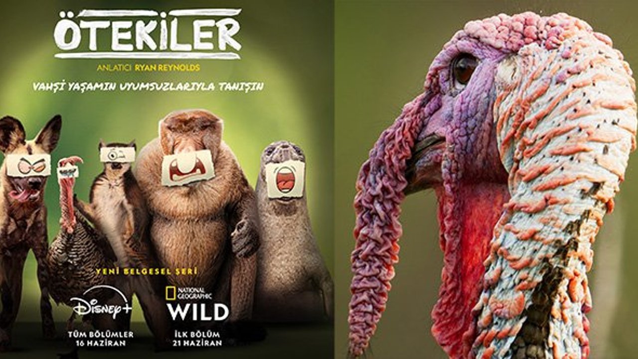 Ryan Reynolds’lı belgesel "Ötekiler" 16 Haziran'da Disney+'ta