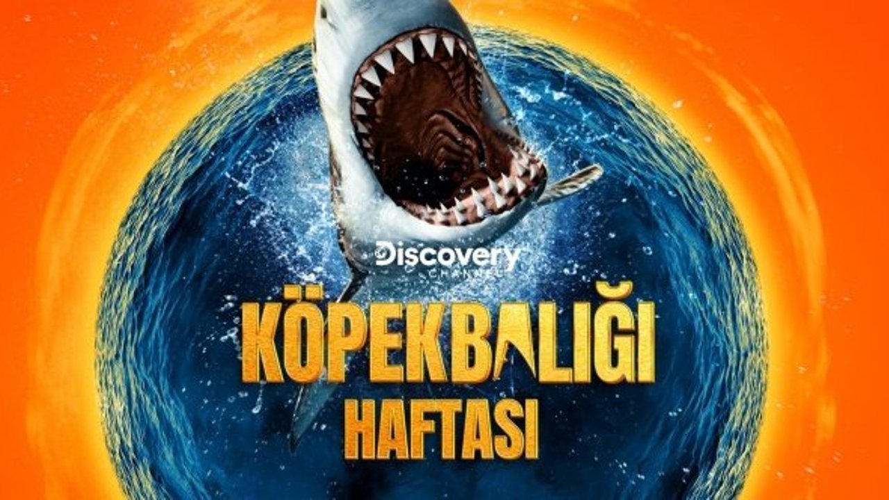 Köpekbalığı Haftası heyecanı  Discovery’de başlıyor!