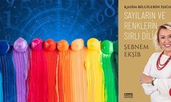 Sayılar ve renkler davranışlarımızı nasıl yönlendiriyor?